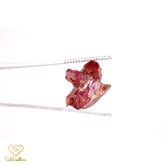 Natural Rough Ruby - 25.55 ct - Saleh Sallom